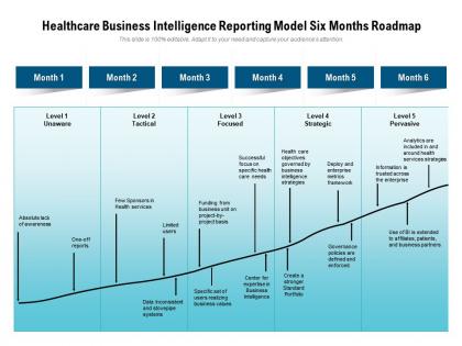 Healthcare business intelligence reporting model six months roadmap