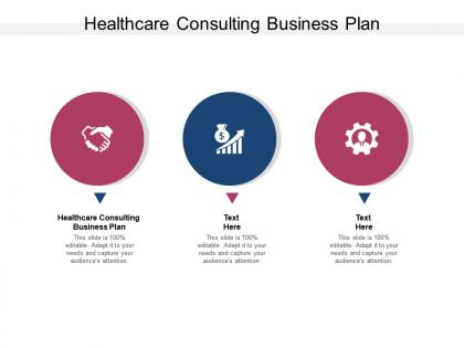 Healthcare consulting business plan ppt powerpoint presentation ideas cpb