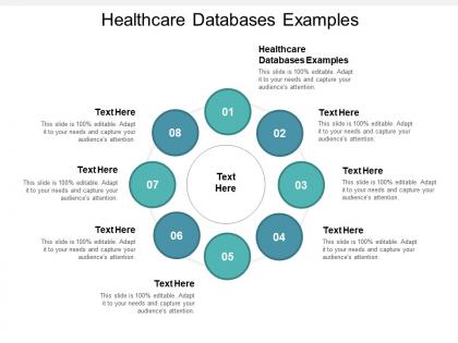 Healthcare databases examples ppt powerpoint presentation ideas background cpb