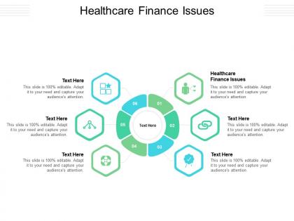 Healthcare finance issues ppt powerpoint presentation infographic template design ideas cpb