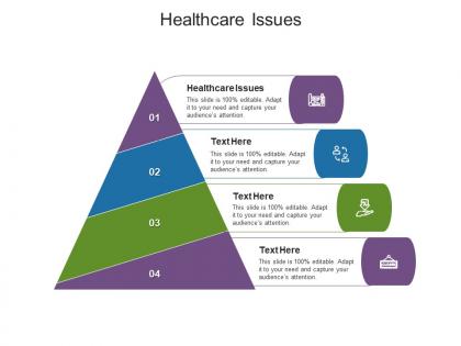 Healthcare issues ppt powerpoint presentation infographic template guidelines cpb