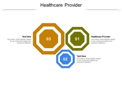 Healthcare provider ppt powerpoint presentation ideas background cpb