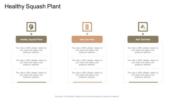 Healthy Squash Plant In Powerpoint And Google Slides Cpb