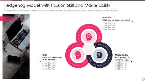 Hedgehog Model With Passion Skill And Marketability Business Strategy Best Practice
