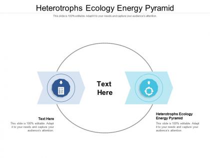 Heterotrophs ecology energy pyramid ppt powerpoint presentation slides designs download cpb