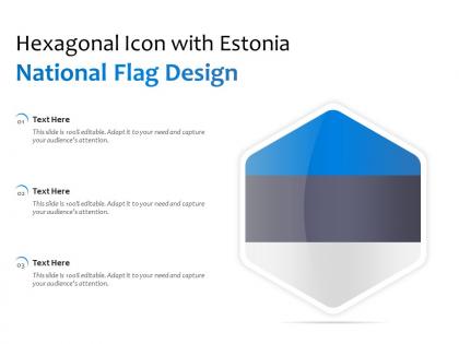 Hexagonal icon with estonia national flag design