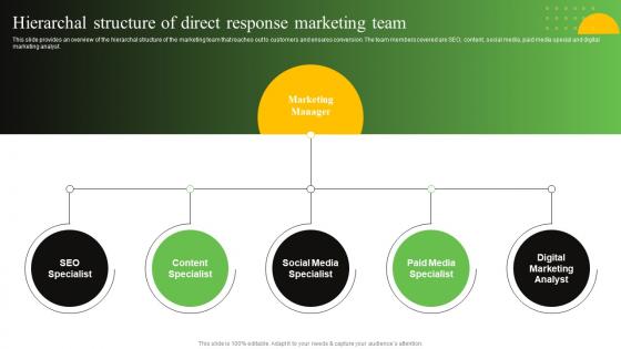 Hierarchal Structure Of Direct Response Marketing Team Process To Create Effective Direct MKT SS V