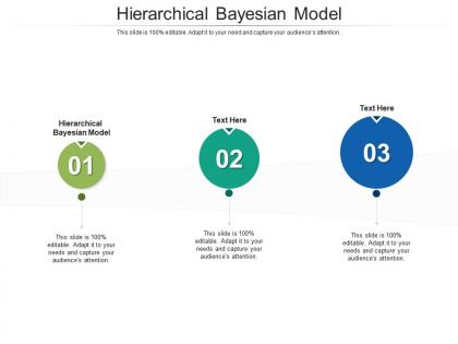 Hierarchical bayesian model ppt powerpoint presentation infographic template demonstration cpb