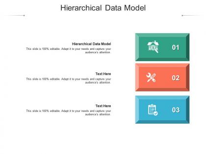 Hierarchical data model ppt powerpoint presentation inspiration graphic tips cpb