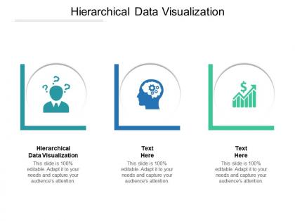 Hierarchical data visualization ppt powerpoint presentation infographic template cpb
