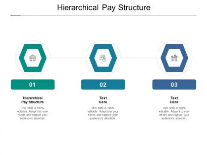 Hierarchical pay structure ppt powerpoint presentation visual aids summary cpb