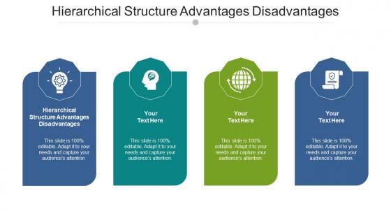 Hierarchical structure advantages disadvantages ppt powerpoint presentation infographics cpb