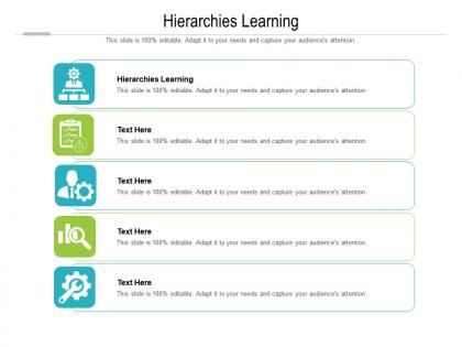 Hierarchies learning ppt powerpoint presentation infographic template slide cpb