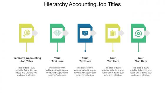 Hierarchy accounting job titles ppt powerpoint presentation file template cpb
