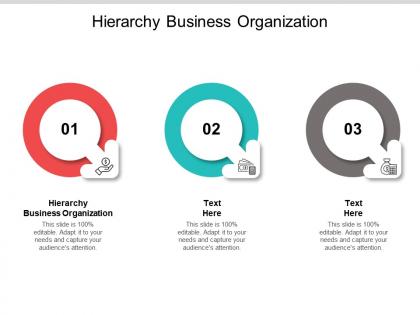 Hierarchy business organization ppt powerpoint presentation infographic template information cpb