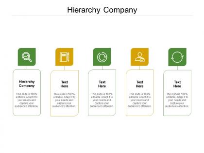 Hierarchy company ppt powerpoint presentation gallery tips cpb