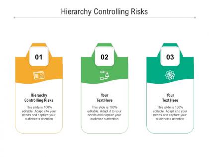 Hierarchy controlling risks ppt powerpoint presentation model cpb