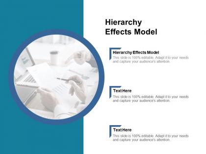 Hierarchy effects model ppt powerpoint presentation file slides cpb
