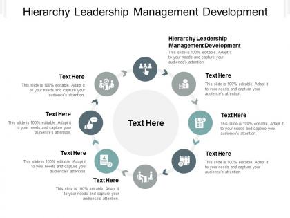 Hierarchy leadership management development ppt powerpoint presentation professional cpb
