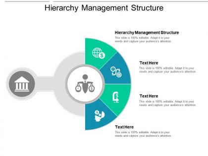 Hierarchy management structure ppt powerpoint presentation ideas icons cpb