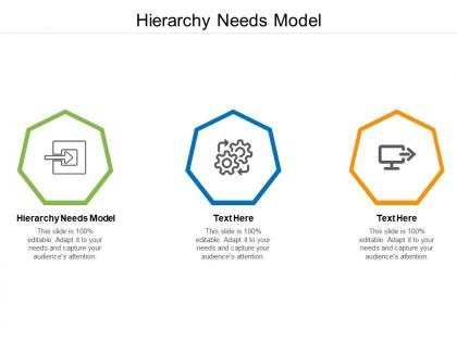 Hierarchy needs model ppt powerpoint presentation infographic template slides cpb