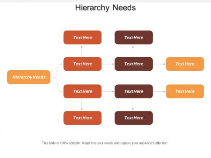 Hierarchy needs ppt powerpoint presentation infographic template graphics cpb