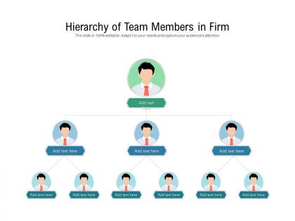 Hierarchy of team members in firm