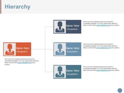 Hierarchy ppt examples professional