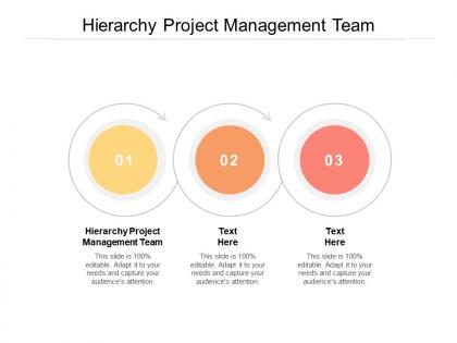 Hierarchy project management team ppt powerpoint presentation model sample cpb