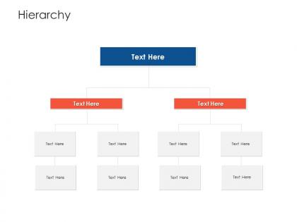 Hierarchy project strategy process scope and schedule ppt portfolio files