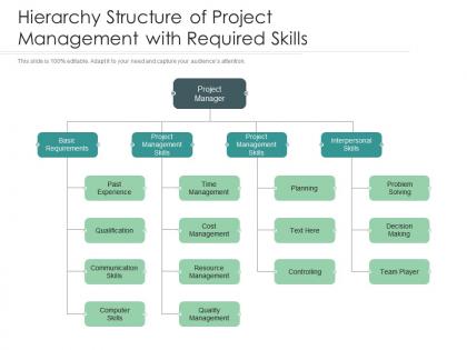 Hierarchy structure of project management with required skills