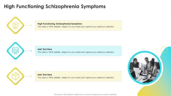 High Functioning Schizophrenia Symptoms In Powerpoint And Google Slides Cpb