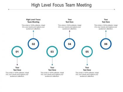 High level focus team meeting ppt powerpoint presentation summary gallery cpb