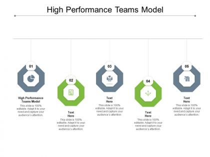 High performance teams model ppt presentation portfolio infographics cpb