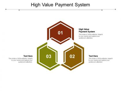 High value payment system ppt powerpoint presentation layouts format cpb