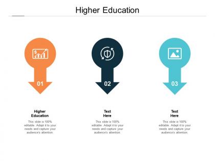 Higher education ppt powerpoint presentation inspiration infographics cpb