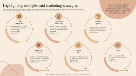 Highlighting Multiple Paid Marketing Developing Actionable Advertising Plan Tactics MKT SS V