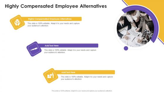 Highly Compensated Employee Alternatives In Powerpoint And Google Slides Cpb