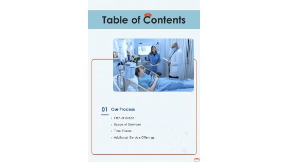 Hiring Proposal For Expat Nurses Table Of Contents One Pager Sample Example Document