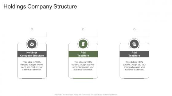 Holdings Company Structure In Powerpoint And Google Slides Cpb