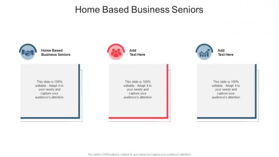 Home Based Business Seniors In Powerpoint And Google Slides Cpb