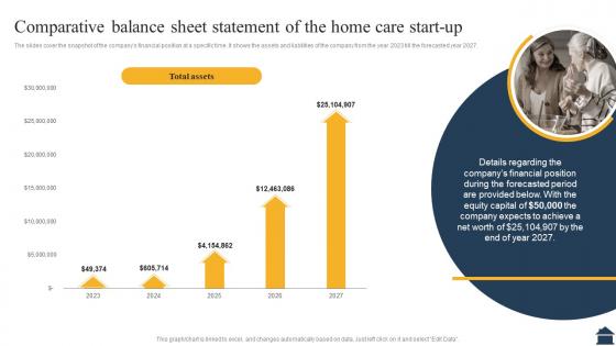 Homecare Agency Business Plan Comparative Balance Sheet Statement Of The Home Care Start Up BP SS