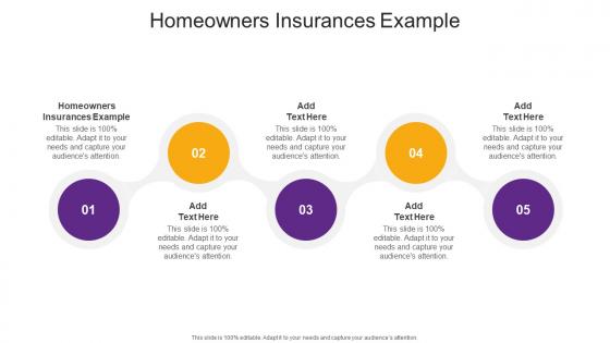 Homeowners Insurances Example In Powerpoint And Google Slides Cpb