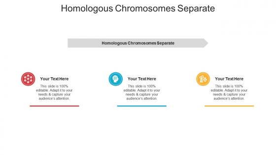 Homologous chromosomes separate ppt powerpoint presentation professional layouts cpb