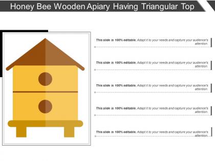 Honey bee wooden apiary having triangular top