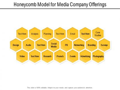 Honeycomb model for media company offerings