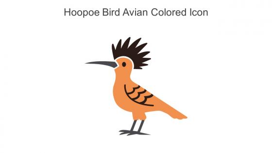 Hoopoe Bird Avian Colored Icon In Powerpoint Pptx Png And Editable Eps Format