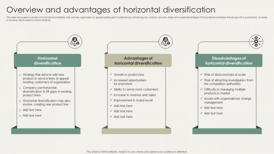 Horizontal And Vertical Business Overview And Advantages Of Horizontal Strategy SS V