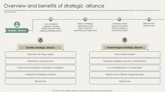 Horizontal And Vertical Business Overview And Benefits Of Strategic Alliance Strategy SS V
