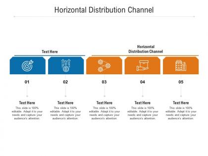Horizontal distribution channel ppt powerpoint presentation infographic template gallery cpb